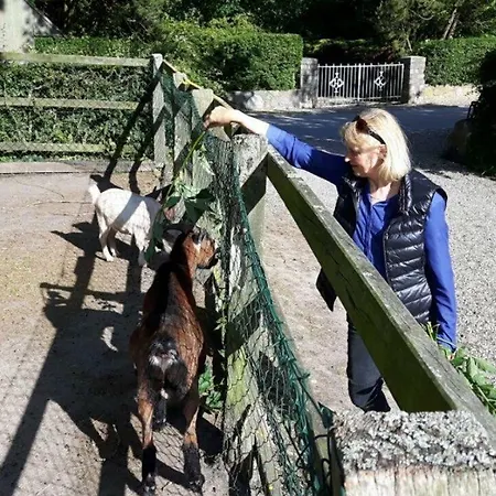 Ferienhaus-fuer-die-grossfamilie-oder-gruppenhaus-auf-dem-ferien-und-bauernhof-nielson-in-inselmitte Dom wakacyjny Bisdorf