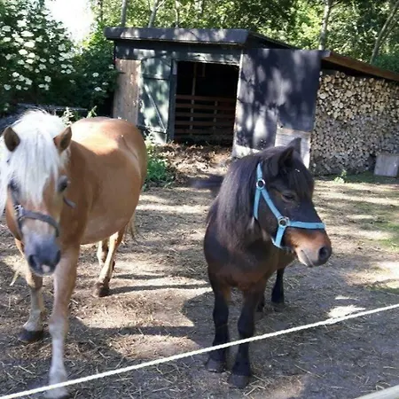 Ferienhaus-fuer-die-grossfamilie-oder-gruppenhaus-auf-dem-ferien-und-bauernhof-nielson-in-inselmitte *
